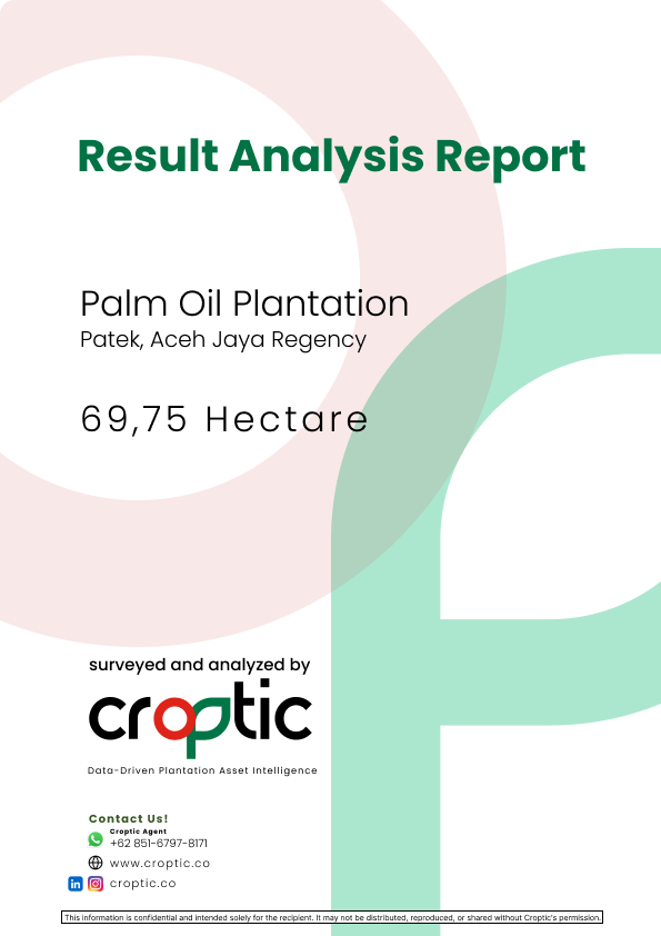 Contoh report analisis