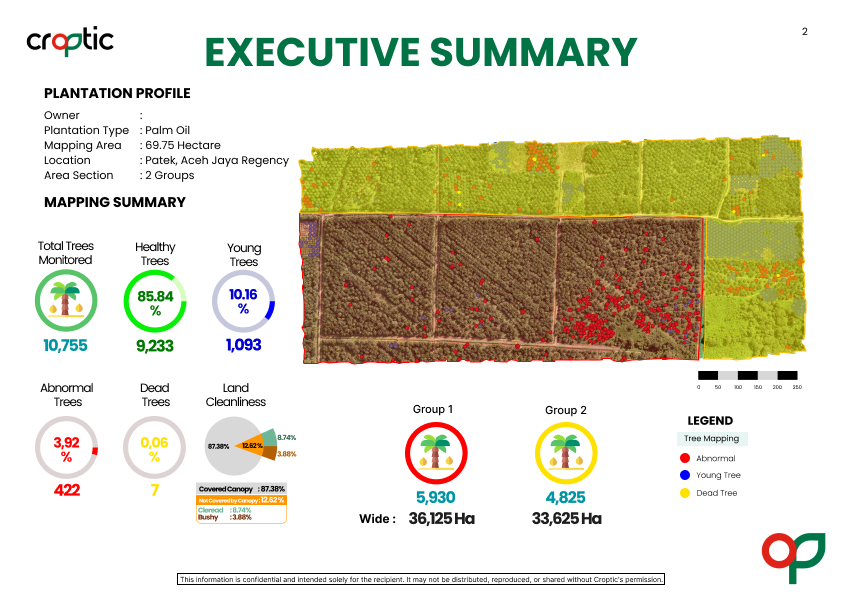 Contoh report analisis